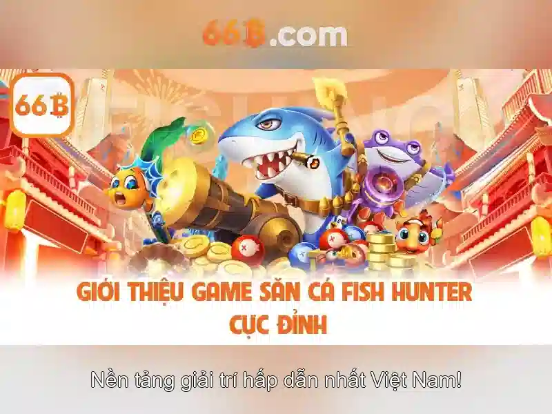 66b là gì?