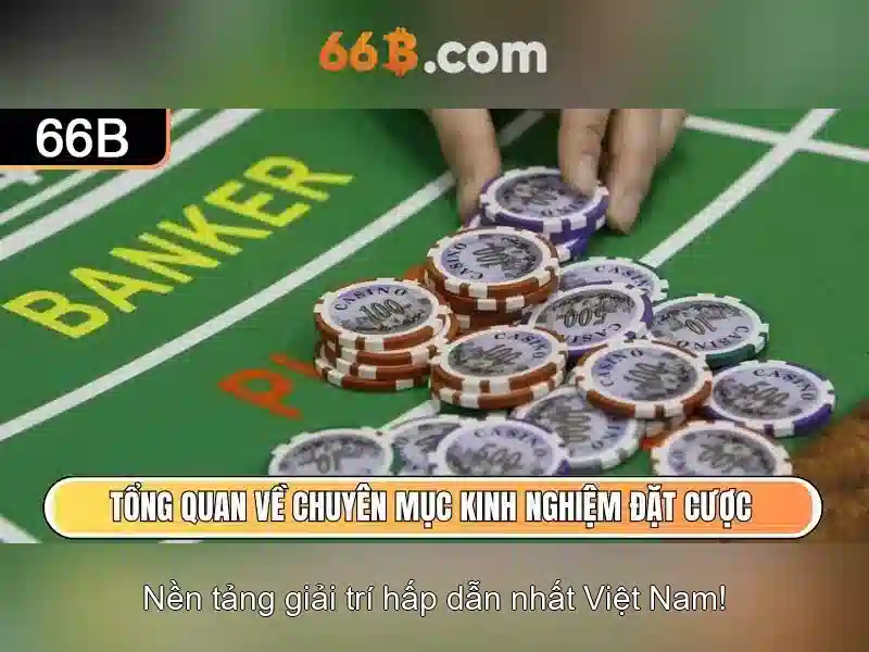 Khái niệm về 66B và lý do nó thu hút sự chú ý