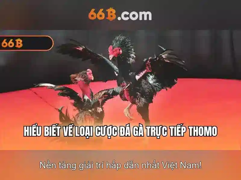 Kiến trúc và đào tạo