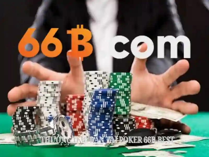 66b có hợp pháp không: hiểu đúng và ứng dụng cùng các từ khóa phụ