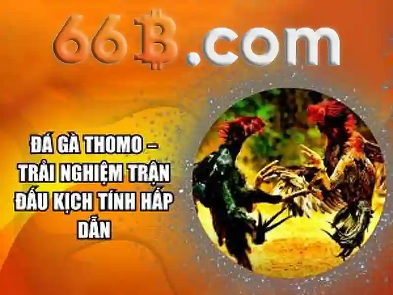 66B: Mô hình ngôn ngữ lớn 66 tỷ tham số và tác động của nó