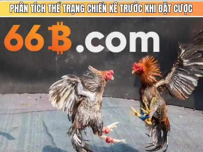 Kiến trúc và cơ chế hoạt động