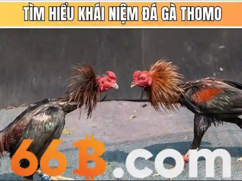 Nguồn gốc từ khóa và sứ mệnh