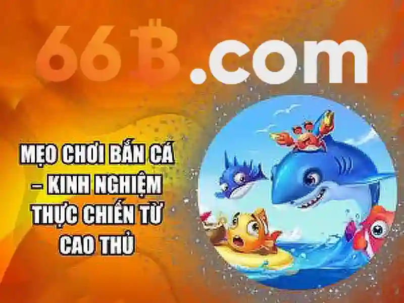 66b nguyễn chí sách phường 15 tân bình – trải nghiệm và giá trị