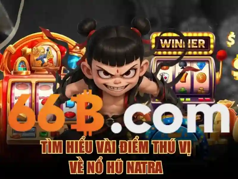 66B: một con số, một câu chuyện