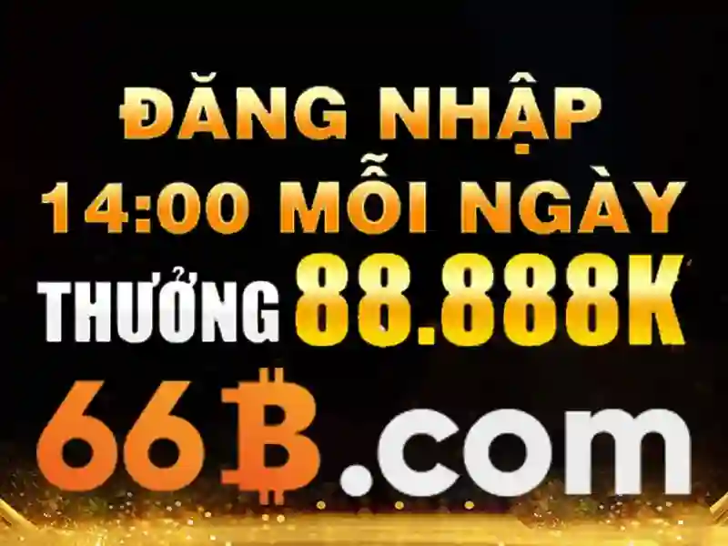 Trải nghiệm người dùng và phản hồi cộng đồng