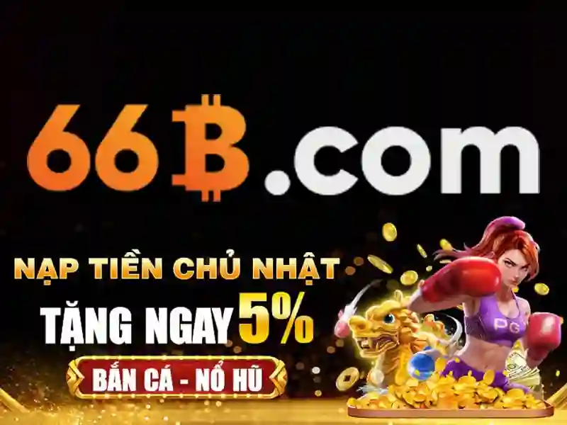 66B: Khái niệm, kích thước và ứng dụng