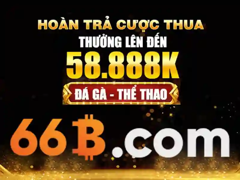 Cách hoạt động của 66B kiến trúc và dữ liệu