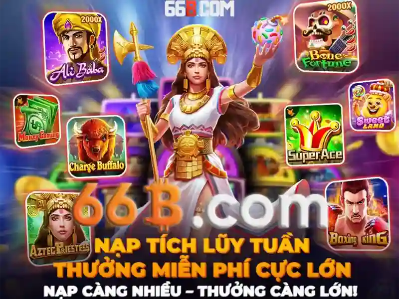 66b là gì và vì sao được quan tâm